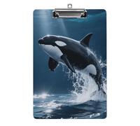 Porte-bloc A4 en acrylique 21,6 x 31,8 cm - Motif double face, planche décorative avec trou de suspension, porte-bloc pour enseignant, infirmière, médecin