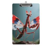 Porte-bloc en acrylique avec clip en métal - Format A4 - Joli porte-bloc à suspendre pour bureau, enseignant, infirmière, médecin, 21,6 x 31,8 cm
