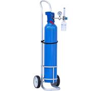 Porte-bouteilles d'oxygène, chariot portable pour réservoir d'oxygène médical avec sangles, support à roulettes pour cylindres, diamètre 168 mm