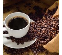 Porte capsule Dolce Gusto rotatif Petit Déjeuner Fackelmann