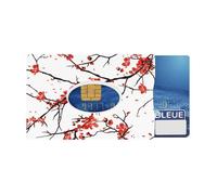 Porte-carte rigide Color Pop 1 carte - PVC ""Prunier"" - Protection carte bancaire - Fabrication française - 6 x 9,1 cm