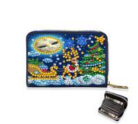 Porte-cartes de crédit, pochette accordéon à fermeture éclair pour cartes de crédit pour femme, Luge