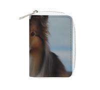 Porte-cartes en cuir tendance imprimé chien Shetland, grande capacité, petit et pratique, facile à mettre dans les poches, sacs à main, sacs à dos, etc. Répond à vos besoins de rangement pratiques