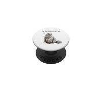Porte-Chat Accessoires pour Chat Chat drôle Chat Persan PopSockets PopGrip Adhésif