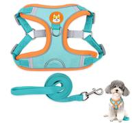 Porte-chien, gilet, laisse pour petit chien, réglable, Lake Blue taille XL