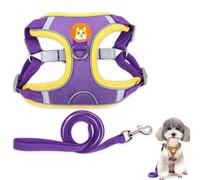 Porte-chien, gilet, laisse pour petit chien, réglable, taille lilas XL