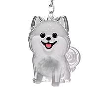 Porte-Clés Animaux | Porte-Clés Voiture Collecteur de Poils de Chien,Souvenir Commémoratif pour Animal de Compagnie Charme pour Téléphone Sac à Dos Rétroviseur