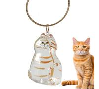 Porte-clés C-apsule Commémorative en Poils de Chat, Boîte Mémoriale Pour Poils D'Animaux, Ontenants Petits Transparents Portatifs, Compagnie Idéal Voyage Décès Souvenir Cadeau