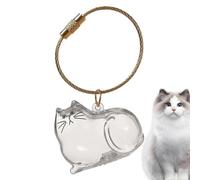Porte-clés C-apsule Commémorative en Poils de Chat, Boîte Mémoriale Pour Poils D'Animaux, Ontenants Petits Transparents Portatifs, Compagnie Idéal Voyage Décès Souvenir Cadeau