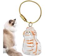 Porte-clés c-apsule commémorative en poils de chat, Boîte souvenir transparente en forme de chat pour les amoureux des chats, pour la perte d'un ami à fourrure