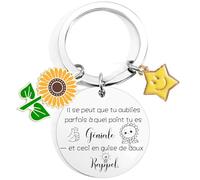 Porte-clés Cadeau pour Amie ou Collègue, Rappel Doux pour Dire à Quelqu’un qu’Elle est Géniale,Idée Originale pour meilleure amie, pour femme, pour camarade de adeau pour sœur,cadeau collègue