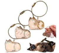 Porte-clés capsule commémorative en poils de chat - Boîte souvenir transparente en forme de chat pour les amoureux des chats, pour la perte d'un ami à fourrure