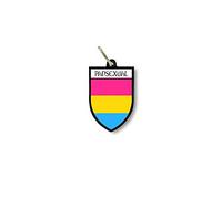 Porte cles clefs cle Drapeau Collection Blason Pansexual Arc en Ciel Rainbow