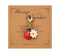 Porte-Clés Coccinelle Bagages Décor - Porte-Clé avec carte Rappelle-Toi Toujours. Cadeau adorable - Rouge.