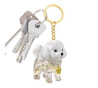 Porte-Clés Collecteur De Poils Canins | Pendentif Rangement Transparent Commémoratif - Porte-Clés Souvenir Collecteur de Poils,Pour Pochette Sac À Main Tote Sac À Dos Voyage Et Vacances Déplacements