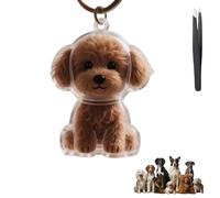 Porte-clés collecteur de poils de chien - Boîte de rangement commémorative transparente - En fourrure d'animal domestique - Souvenir - Capsule de mémoire - Porte-clés pour recueillir les poils de