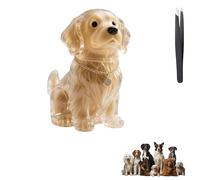 Porte-clés collecteur de poils de chien - Boîte de rangement commémorative transparente pour poils de chien - Capsule de mémoire - Porte-clés pour la collecte des poils de chien avec pince à épiler (N