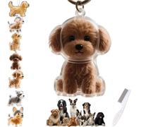 Porte-clés collecteur de poils de chien, boîte de rangement commémorative transparente, souvenir commémoratif for poils d'animaux, cadeau commémoratif mignon for les amoureux des animaux, accessoire f