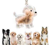 Porte-clés collecteur de poils de chien, Bouteille de rangement pour poils de chiens, boîte de rangement commémorative pour poils d'animaux, cadeaux commémoratifs pour les amoureux des (A03)