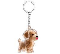 Porte-clés collecteur de poils de chien, porte-clés souvenir, 5 cm, support souvenir de poils d'animaux de compagnie, design léger, affichage transparent pour sac, sac à dos, sac à main
