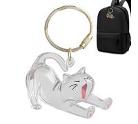 Porte-Clés Collecteur Poils De Chien, Porte-Clés Poils Animal Transparent Souvenir, Joli Pendentif Pour Filles Garçons Femmes Hommes, Parfait Sac Voiture Sac À Main Cadeau Anniversaire