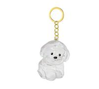 Porte-clés commémoratif transparent pour animaux de compagnie - Porte-poils de chien - Souvenirs émotionnels - Bijoux - Stockage des poils d'animaux