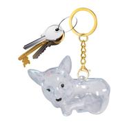 Porte-clés de rangement en forme de crotte de chien - Porte-clés à poils de chat - Souvenir émotionnel transparent - Rangement de bijoux - Pour homme et femme