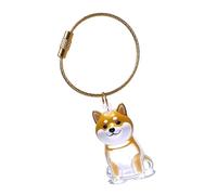 Porte-clés de soutien émotionnel pour la perte d ' animaux de compagnie, boîte commémorative avec boîte de rangement de cheveux transparente pour les propriétaires en deuil, porte-clés pour animaux de