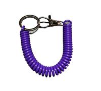 Porte-clés élastique en spirale 10 pièces spirale rétractable ressort bobine porte-clés antivol Anti perte cordon extensible de sécurité avec fermoir mousqueton en métal for clés(Color 10)