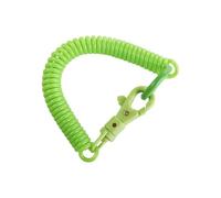 Porte-clés élastique en spirale Ressorts hélicoïdaux porte-clés extensible ressort en spirale bobine rétractable ressorts avec fermoir métal lanière(Green)