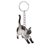 Porte-clés en forme de chat, souvenir mignon en fourrure d'animal de compagnie, breloque commémorative transparente en poils d'animaux avec porte-clés en métal, breloque en forme siamois, utilisat