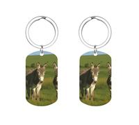Porte-clés en métal Âne sur prairie verte - Porte-clés coloré et durable, anti-rayures, élé et décontracté, en acier inoxydable pour clés, sacs et portefeuilles