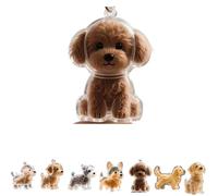 Porte-clés en Poils De Chien, Bouteille De Rangement pour Poils De Chien, Porte-clés en Poils De Chien, Souvenir en Fourrure d'animal, Capsule Mémoire Portable pour Animaux De Compagnie