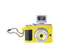 Porte-clés et porte-clés avec petit appareil photo lumineux et pendentif pour plaque d'immatriculation, C, taille unique