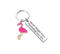 Porte-clés flamant rose inspirant « You Are Amazing » - Cadeau pour homme, femme, fils, fille, collègue, famille, en acier inoxydable pour Noël, anniversaire, Saint-Valentin, remise de diplôme,