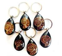 Porte-clés Fossil ammonite noir