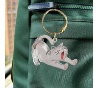 Porte-clés Poils de Chat,Porte-clés à Poils d'Animal Rechargeable - Chaîne de Clés avec Pendentif Transparent en Acrylique Commémoratif pour Collection, Accessoire pour Sac à Main, Sac