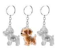 Porte-clés Pour Chien, 3 Pièces, Porte-clés De Rangement Pour Poils D'animaux, Souvenir De Poils De Chat, Pendentif Capsule Souvenir Pour Poils D'animaux, Porte-clés Commémoratif Transparent Pour Les