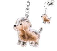 Porte-clés pour Collectionner Les Poils De Chat Et De Chien, Pendentif Fourrure pour Chiens, Porte-clés De Collection De Fourrures d'animaux À Faire Soi-même, Cadeau Commémoratif