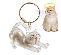 Porte-clés Pour Poils D’animaux | Pendentif De Bouteille De Rangement Transparent, Porte-clés De Stockage De Poils De Chat | Porte-mémorial, Offrant Un Stockage De Souvenirs Émotionnels Par HoWomen Ho