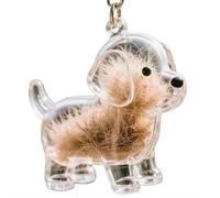 Porte-clés Ramasseur De Poils De Chien, Porte-clés Commémoratif Portable pour Poils d'animaux, Bouteille Commémorative en Verre pour Poils d'animaux, pour Propriétaires De Chiens Et De Chats