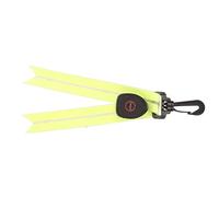 Porte-clés réfléchissants en PVC, mode pendentif réfléchissant en PVC décoratif réglable LED étanche pour sac pour animal de compagnie (vert)