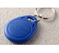 Porte-clés RFID 125Khz EM4100,10 pièces/lot,étiquette intelligente de proximité,anneau,carte d'accès,identification EM,en lecture seule