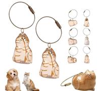 Porte-clés Souvenir en Fourrure De Chat, Pendentif Commémoratif en Poils De Chat, Pendentif Capsule Souvenir en Fourrure De Chat, Bouteille De Rangement pour Poils d'animaux