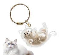 Porte-clés souvenir en poils de chat - Mignon Transparent Portable - Porte-Clés De Stockage Pour Poils De Chat - Pour Hommes Collection De Vacances Portefeuille Cartable Sac À Main Sac À Dos Porte-Mon