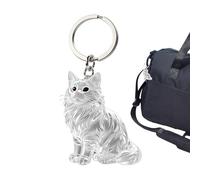 Porte-clés Souvenir Poils De Chat - Pendentif Transparent En Forme De Chat Pour Conserver Les Poils - Accessoire Pour Sac À Dos, Sac À Main Ou Portefeuille - Mémoire Animal Discret