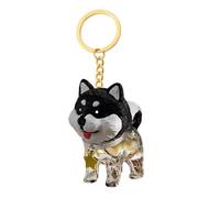 Porte-clés souvenir poils de chien,Pendentif Mignon Transparent Boîte de Rangement - Porte-clés commémoratif poils d'animaux,Pour Pochette Sac À Main Tote Sac À Dos Voyage Et Vacances Déplacements
