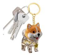 Porte-clés souvenir poils de chien, Pendentif Mignon Transparent Boîte de Rangement, Porte-clés Souvenir pour Poils d'Animaux, Pour Pochette Sac À Main Tote Sac À Dos Voyage Et Vacances Déplacements