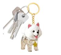 Porte-clés souvenir poils de chien | Pendentif Mignon Transparent Boîte de Rangement | Porte-clés Souvenir pour Poils d'Animaux,pour Vacances Voyage Trajets Quotidiens Portefeuille Sac à Main Cabas Sa