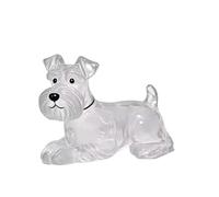 Porte-clés Souvenir Transparent en Poils d'animaux, Bouteille Commémorative en Fourrure De Chien, Accessoire pour Poils De Chat Et De Chien, Cadeau Commémoratif pour Les Amoureux des Animaux